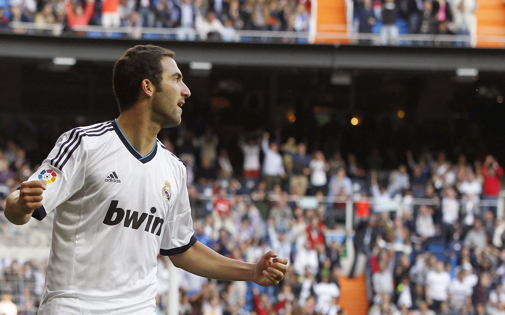 媒体报道：足球新闻报道的真实性与深度探究，足球的新闻报道怎么写