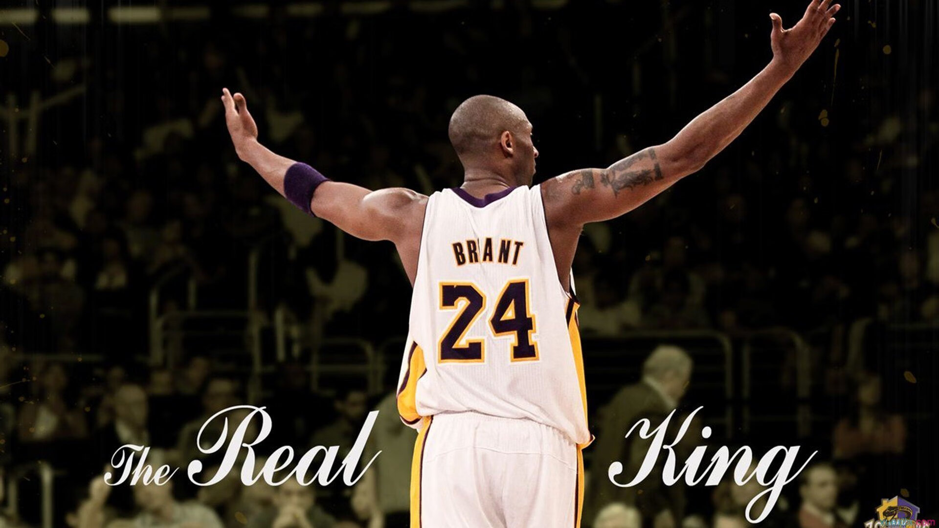 达米恩·麦肯齐：突破与传球如出一辙，他是全黑队不可或缺的进攻利器