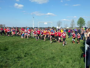 青少年体育锻炼促进策略与实践，青少年体育锻炼方案